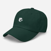 Joy Dad Hat